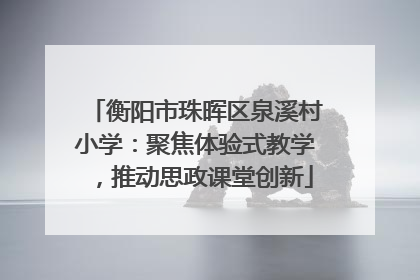 衡阳市珠晖区泉溪村小学：聚焦体验式教学，推动思政课堂创新