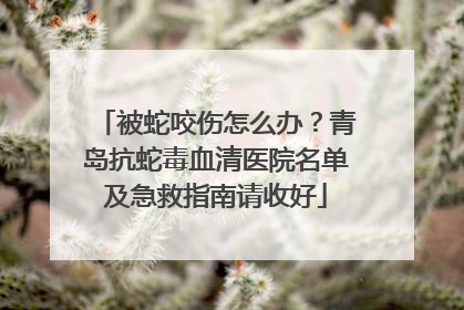 被蛇咬伤怎么办？青岛抗蛇毒血清医院名单及急救指南请收好