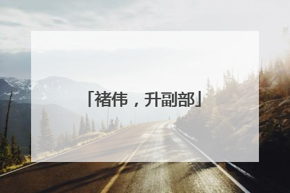 褚伟，升副部