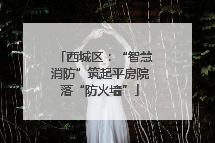 西城区：“智慧消防”筑起平房院落“防火墙”