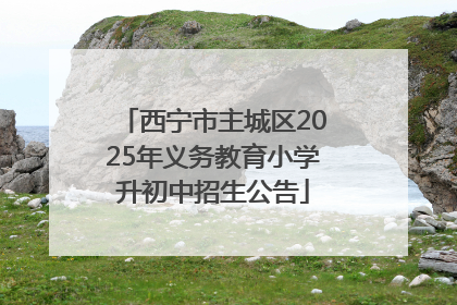 西宁市主城区2025年义务教育小学升初中招生公告