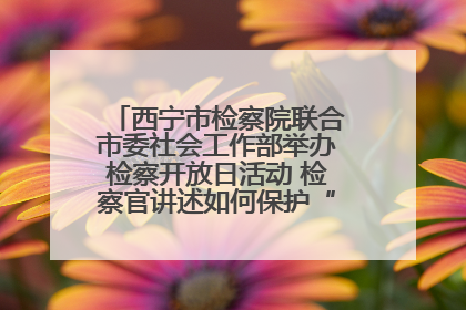 西宁市检察院联合市委社会工作部举办检察开放日活动 检察官讲述如何保护“少年的你”