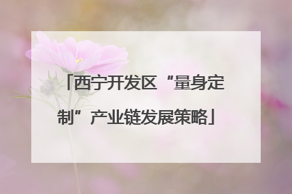 西宁开发区“量身定制”产业链发展策略