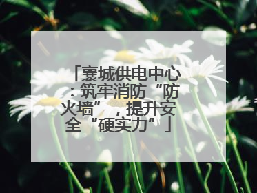襄城供电中心：筑牢消防“防火墙”，提升安全“硬实力”