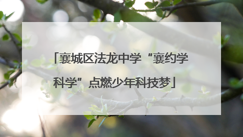 襄城区法龙中学“襄约学科学”点燃少年科技梦