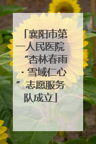 襄阳市第一人民医院“杏林春雨・雪域仁心”志愿服务队成立