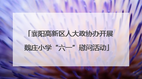 襄阳高新区人大政协办开展魏庄小学“六一”慰问活动