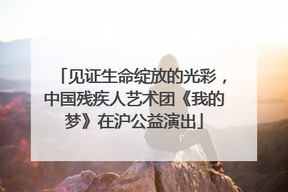 见证生命绽放的光彩，中国残疾人艺术团《我的梦》在沪公益演出