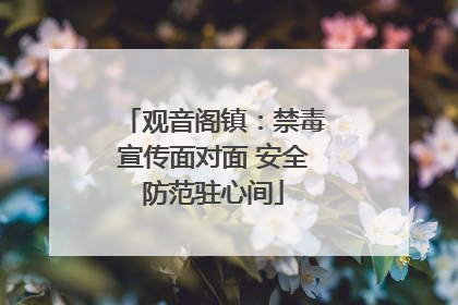 观音阁镇：禁毒宣传面对面 安全防范驻心间