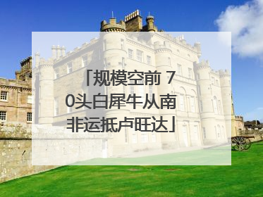 规模空前 70头白犀牛从南非运抵卢旺达