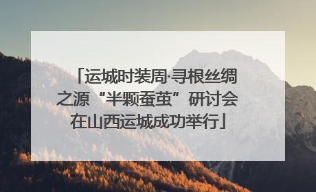 运城时装周·寻根丝绸之源“半颗蚕茧”研讨会在山西运城成功举行