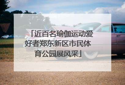 近百名瑜伽运动爱好者郑东新区市民体育公园展风采