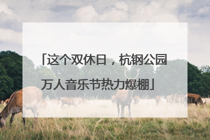 这个双休日，杭钢公园万人音乐节热力爆棚