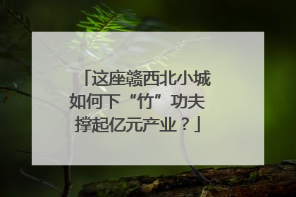 这座赣西北小城如何下“竹”功夫撑起亿元产业？