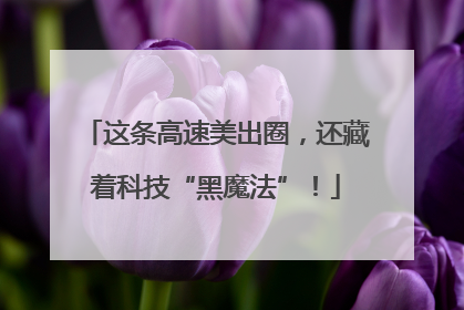这条高速美出圈，还藏着科技“黑魔法”！
