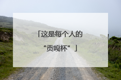 这是每个人的“贡嘎杯”