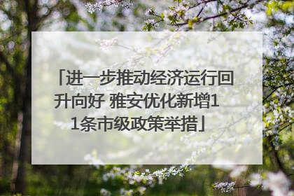 进一步推动经济运行回升向好 雅安优化新增11条市级政策举措