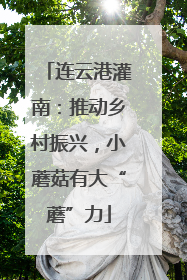 连云港灌南：推动乡村振兴，小蘑菇有大“蘑”力