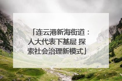 连云港新海街道：人大代表下基层 探索社会治理新模式