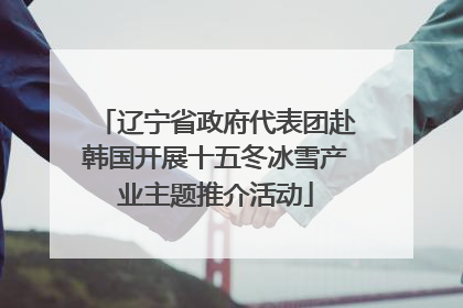 辽宁省政府代表团赴韩国开展十五冬冰雪产业主题推介活动