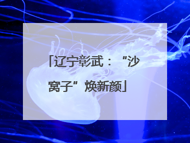 辽宁彰武：“沙窝子”焕新颜