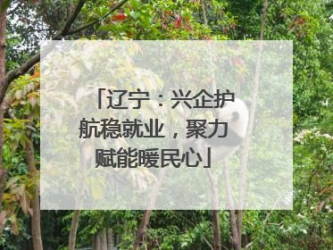 辽宁：兴企护航稳就业，聚力赋能暖民心