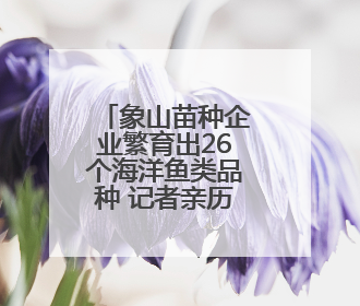 象山苗种企业繁育出26个海洋鱼类品种 记者亲历工厂化繁育