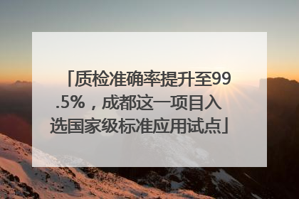 质检准确率提升至99.5%，成都这一项目入选国家级标准应用试点