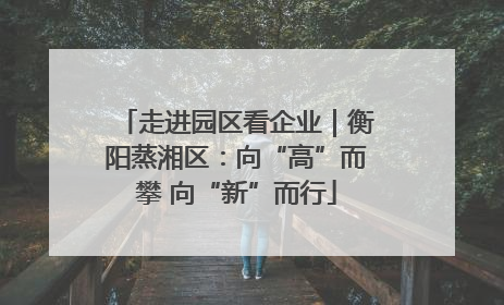 走进园区看企业｜衡阳蒸湘区：向“高”而攀 向“新”而行