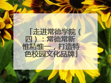 走进常德学院（四）：常德常新 惟精惟一，打造特色校园文化品牌