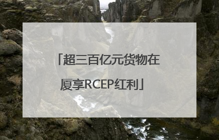 超三百亿元货物在厦享RCEP红利