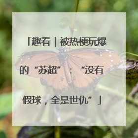 趣看｜被热梗玩爆的“苏超”：“没有假球，全是世仇”