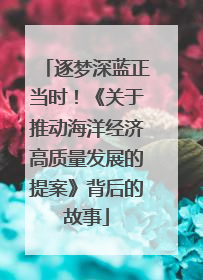 逐梦深蓝正当时！《关于推动海洋经济高质量发展的提案》背后的故事