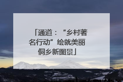 通道：“乡村著名行动”绘就美丽侗乡新图景
