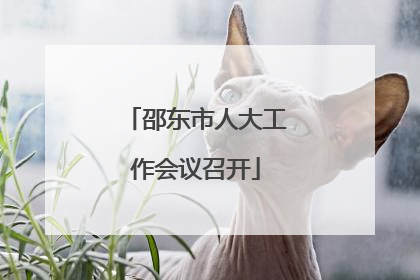 邵东市人大工作会议召开