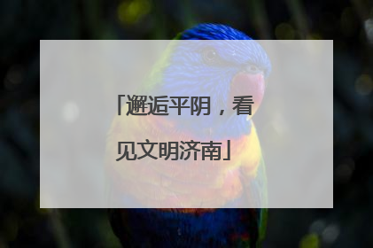 邂逅平阴，看见文明济南