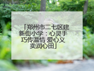 郑州市二七区建新街小学：心灵手巧传温情 爱心义卖润心田