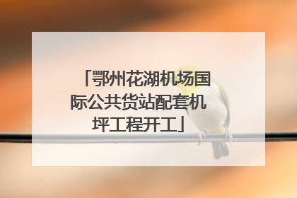 鄂州花湖机场国际公共货站配套机坪工程开工