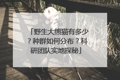 野生大熊猫有多少？种群如何分布？科研团队实地探秘