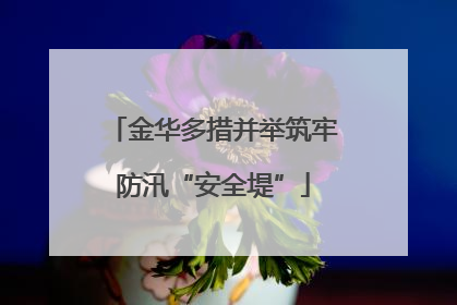 金华多措并举筑牢防汛“安全堤”