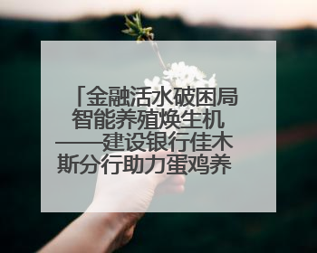 金融活水破困局 智能养殖焕生机——建设银行佳木斯分行助力蛋鸡养殖突围