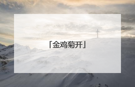 金鸡菊开