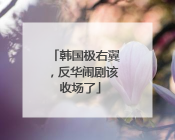 韩国极右翼，反华闹剧该收场了