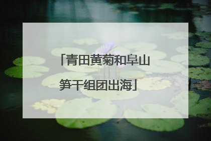 青田黄菊和阜山笋干组团出海