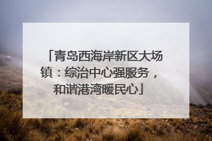 青岛西海岸新区大场镇：综治中心强服务，和谐港湾暖民心