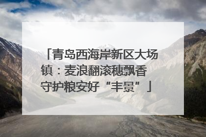 青岛西海岸新区大场镇：麦浪翻滚穗飘香 守护粮安好“丰景”