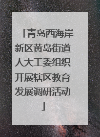 青岛西海岸新区黄岛街道人大工委组织开展辖区教育发展调研活动