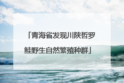青海省发现川陕哲罗鲑野生自然繁殖种群