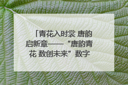 青花入时裳 唐韵启新章——“唐韵青花 数创未来”数字文创设计大赛启幕