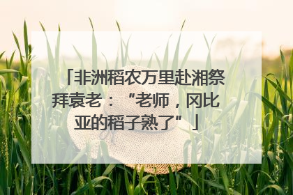 非洲稻农万里赴湘祭拜袁老：“老师，冈比亚的稻子熟了”